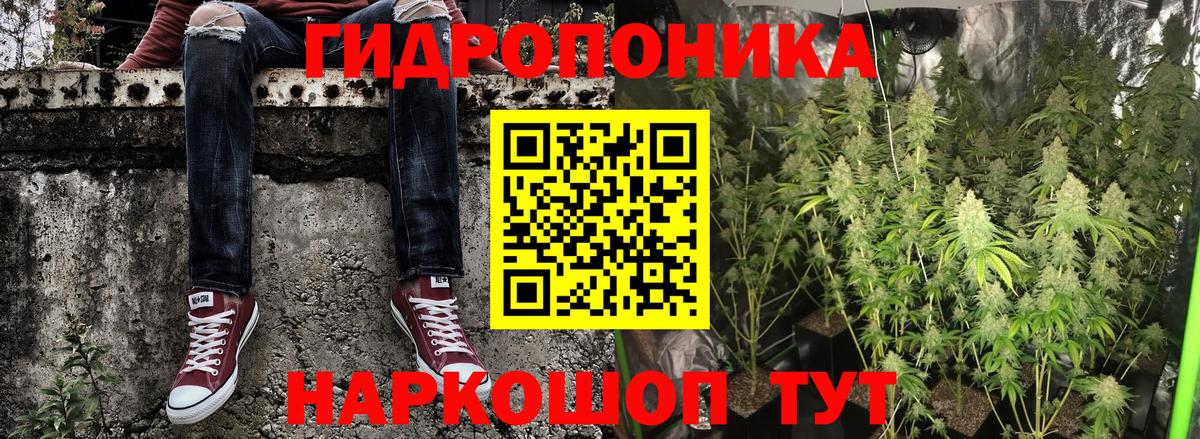 Шишки марихуана SATIVA & INDICA Ноябрьск