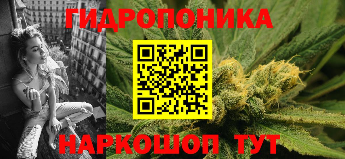 Ноябрьск  Каннабис план  Вход с VPN  Каннабис сатива  Конопля Ganja 